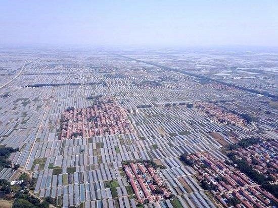 寿光蔬菜生产基地采购农药残留检测仪
