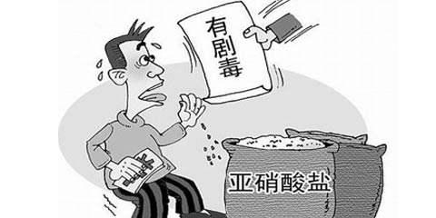 食品亚硝酸盐快速测定仪