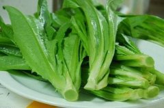 检测蔬菜农药的仪器怎么用
