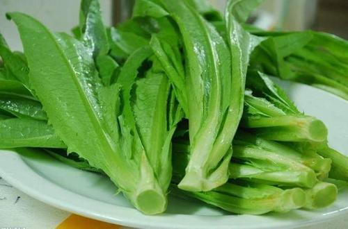 蔬菜农药残留速测仪