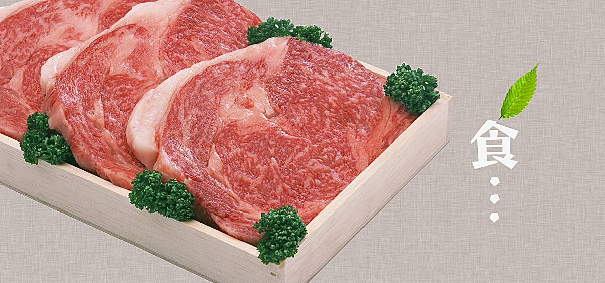 肉类水分快速测试仪