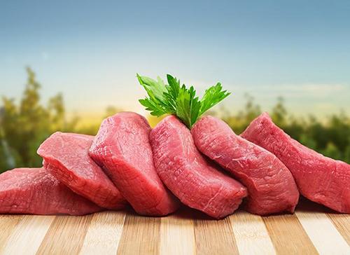 病害肉检测仪