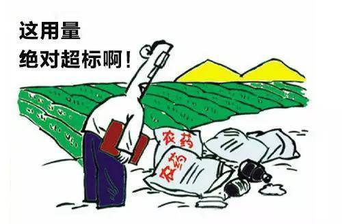 农药残留检测仪