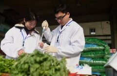农残分析仪器在农残分析中的应用