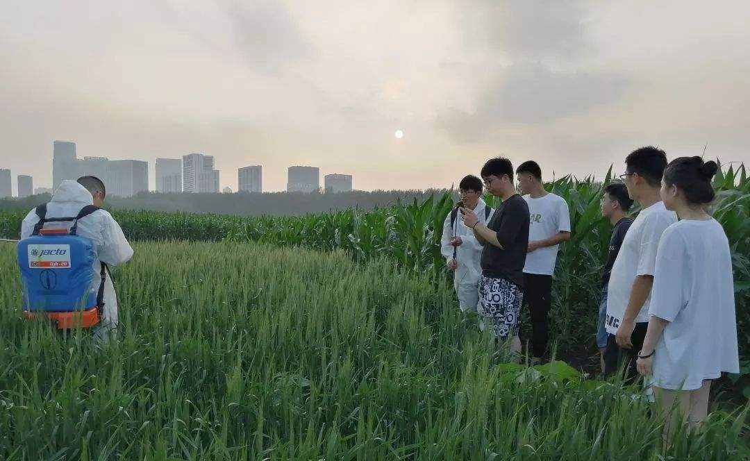 农药残留的知识