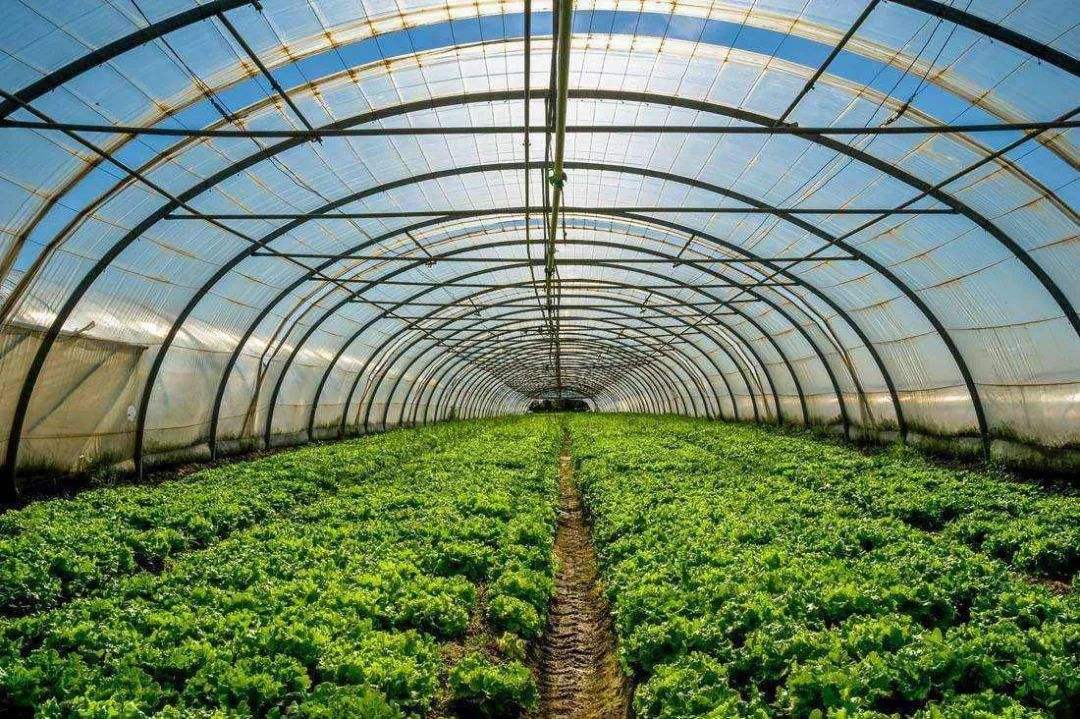 高智能土壤肥料养分快速测量仪