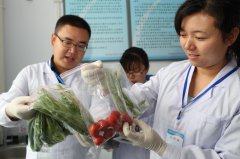 防止食品安全隐患的食品安全检测仪
