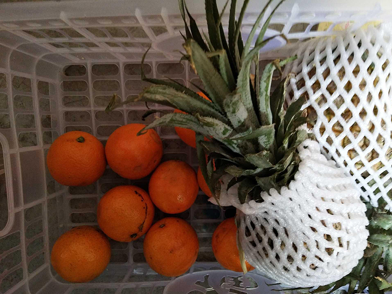 平常吃的水果