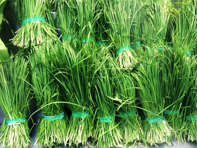 农药残留检测仪告诉你，食用韭菜要注意