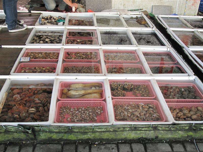 海鲜安全怎么检测？用水产品药物残留检测仪