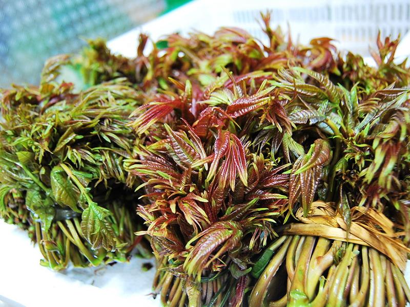 怎样可以安全的食用香椿