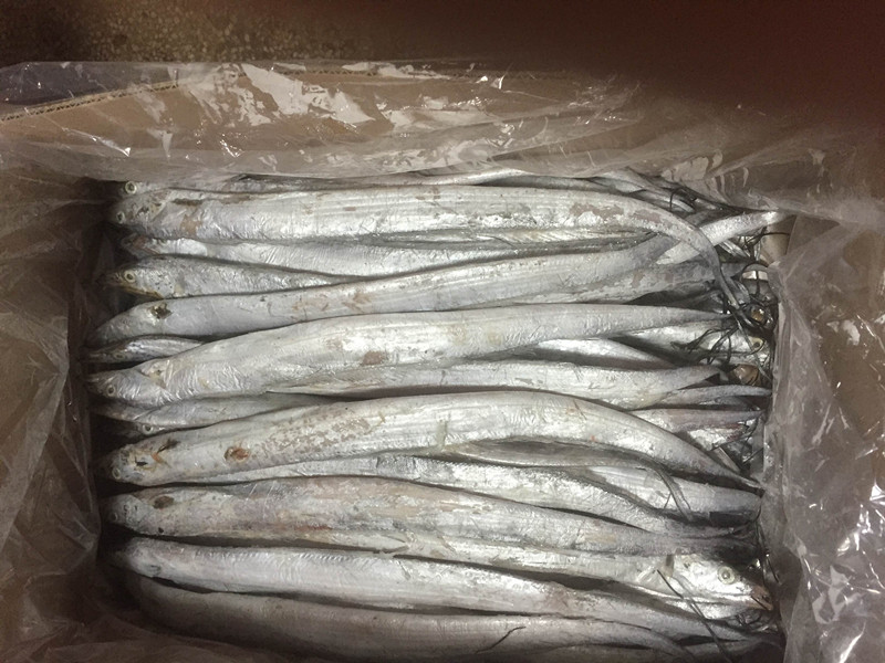 带鱼中的含碘量有多少
