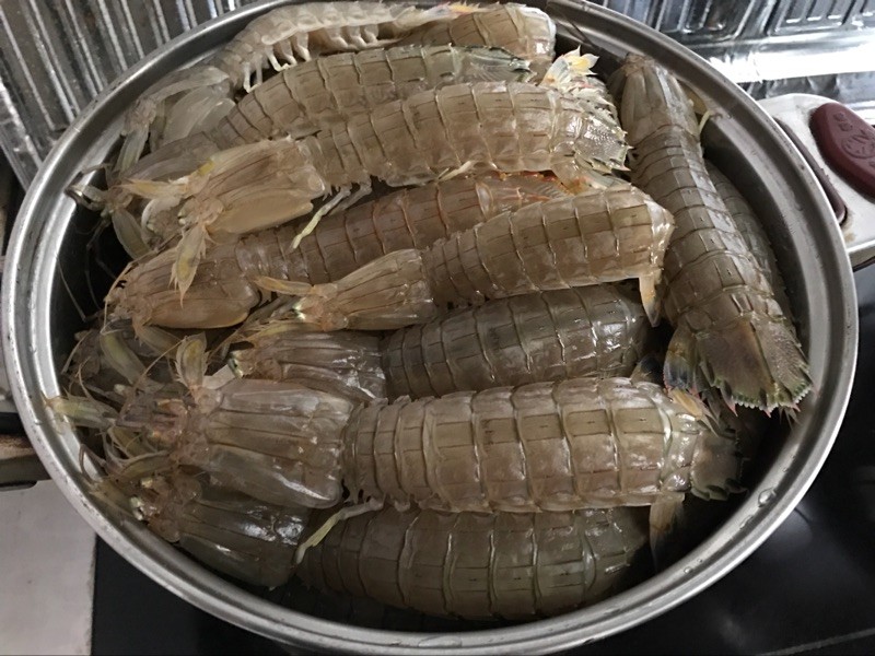 为何皮皮虾频繁被检测出镉超标