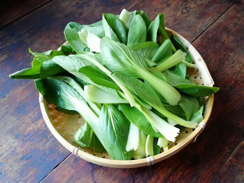油菜中为什么会有农药残留超标的问题