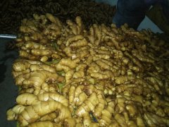 食用农产品检出农兽药残留、重金属超标