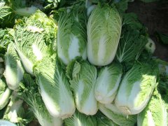买白菜要看仔细，小心买到“甲醛白菜”！