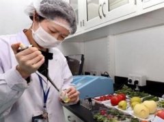 蔬菜农残检测设备检测农残的小型仪器