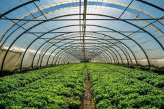 高智能土壤肥料养分快速测量仪提高水肥利用率