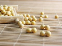 蛋白质分析仪操作注意事项