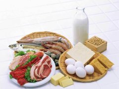 蛋白质分析仪快速测定食品蛋白质