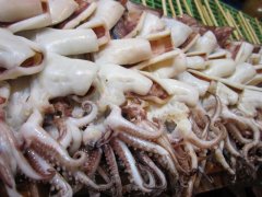 甲醛能让变质鱿鱼“起死回生”？