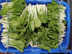 食用农药残留的蔬菜对我们的身体有什么影响？